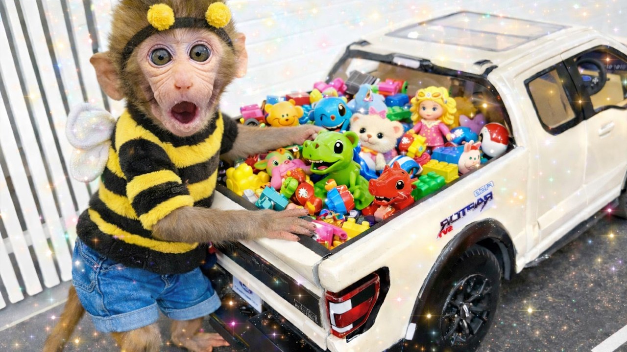 Monkey Baby in a cute bee outfit finds a truck full of colorful toys!! |Mono Magic TV