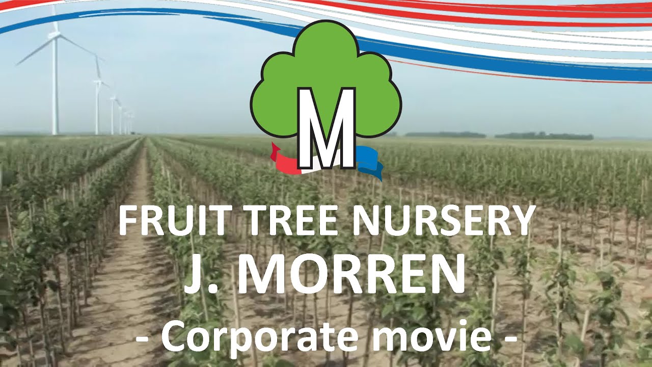 Fruit tree nursery Morren - Corporate movie
