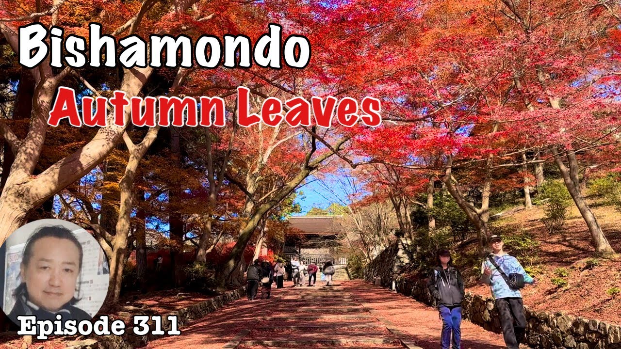 Autumn Leaves of Bishamondo temple [Deep Japan] by the Last Samurai 毘沙門堂