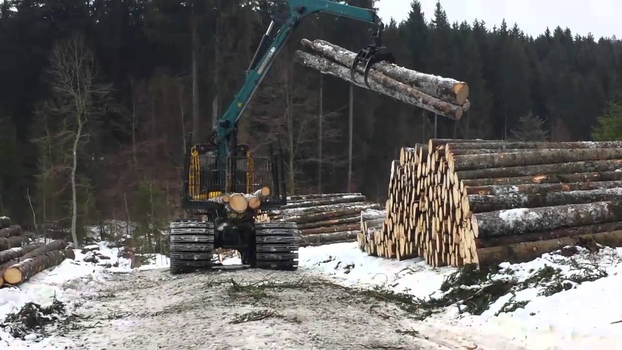 Hsm 208f snow - Buchenberg