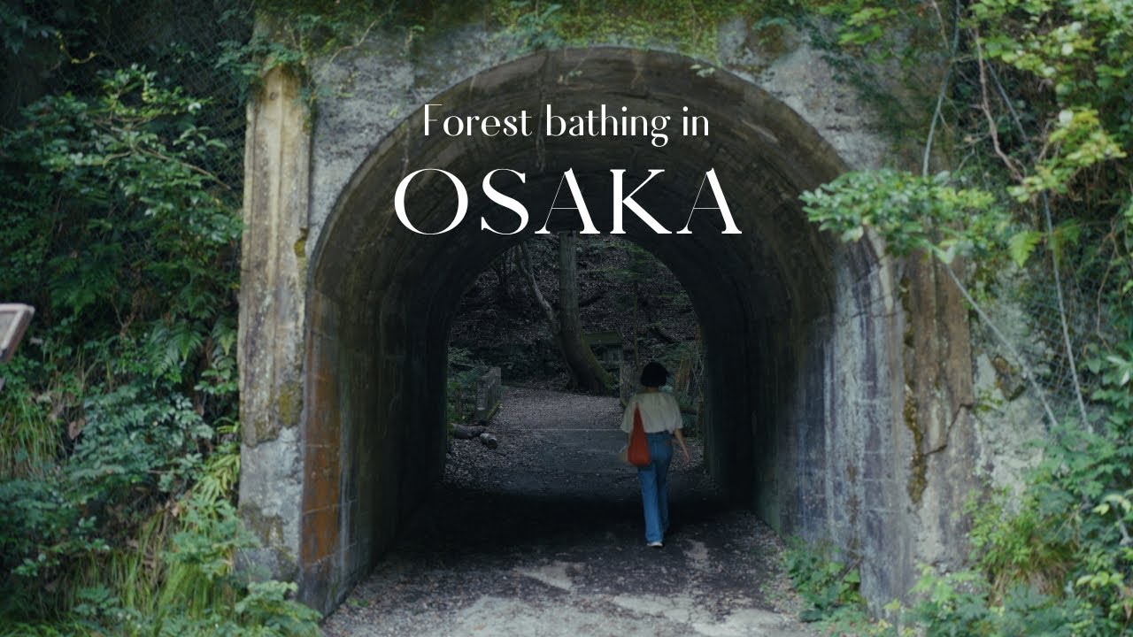 Quiet side of OSAKA 🌿 Forest bathing in Minoh Park | Japan Travel Vlog