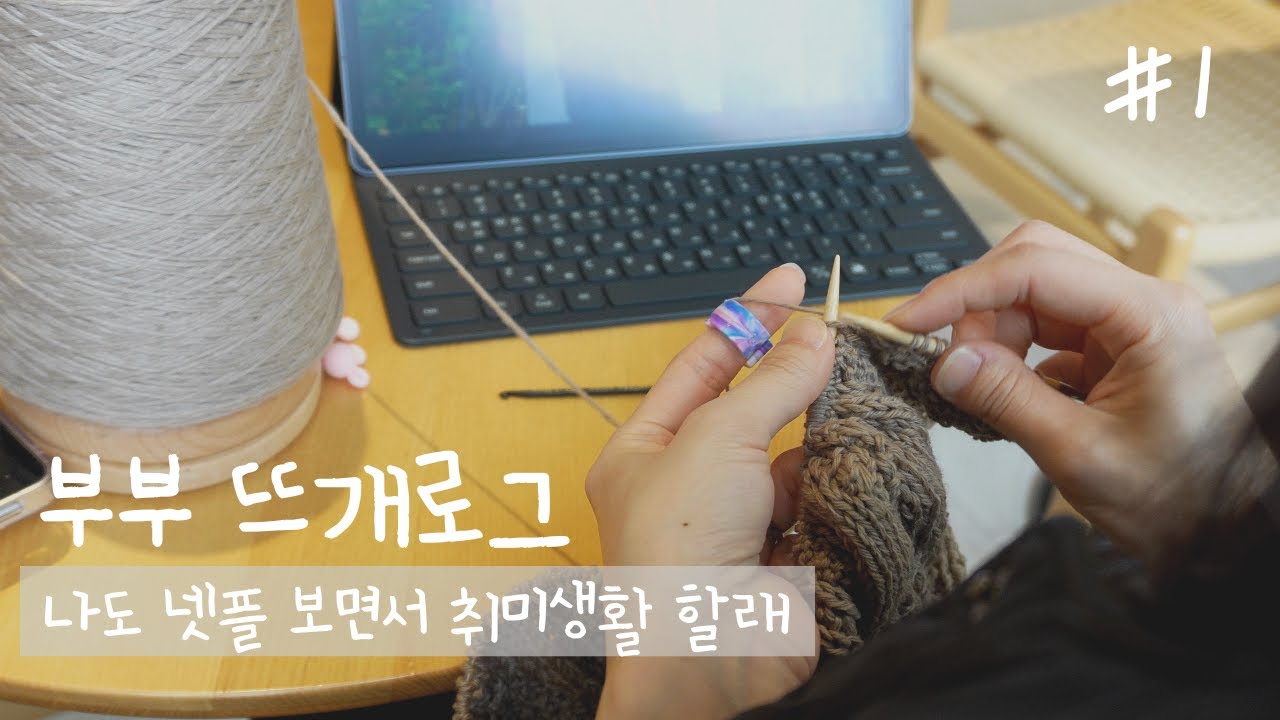 [뜨개로그] #1. 뜨개질 하면서 넷플릭스 보는 와이프가 부럽다