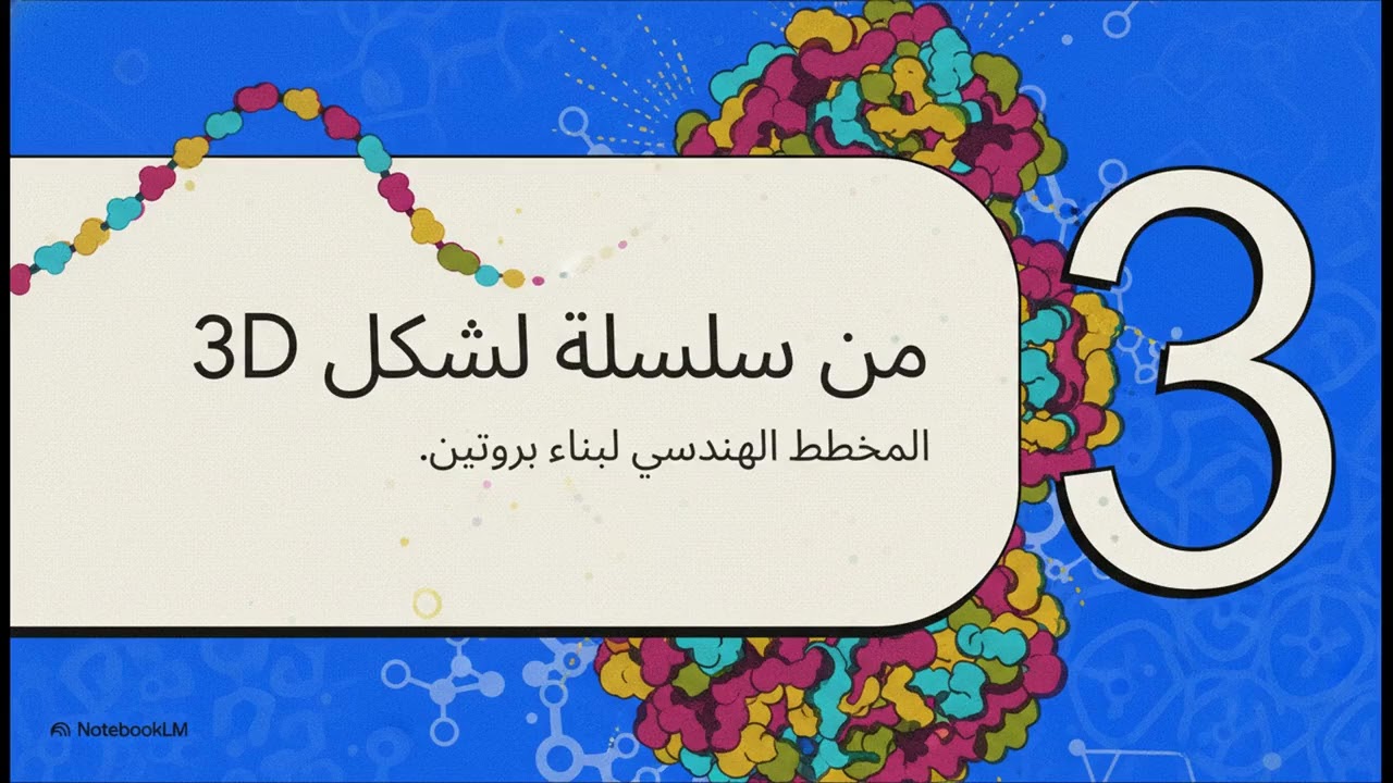 من الأحماض الأمينية إلى البروتينات