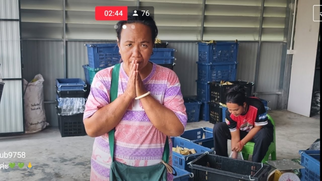 live   😍หญ้า10มัด100กล้วย.
