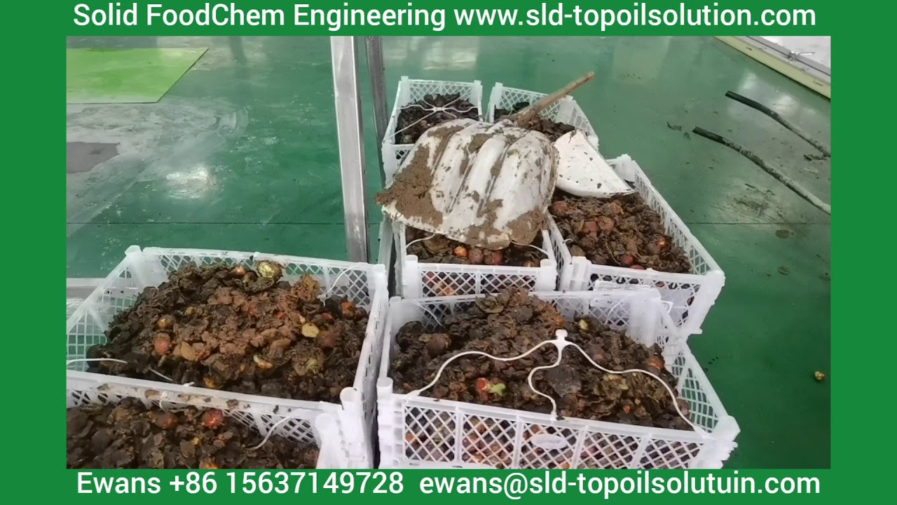 Virgin avocado oil extraction machine(centrifuge extraction)