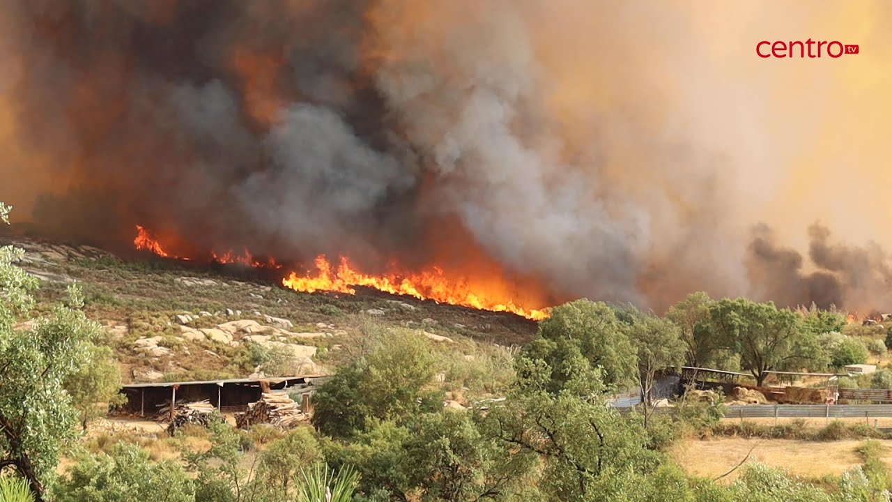 Incêndio em O. Hospital provocou ferimentos em dois bombeiros e obrigou a evacuar parque de campismo