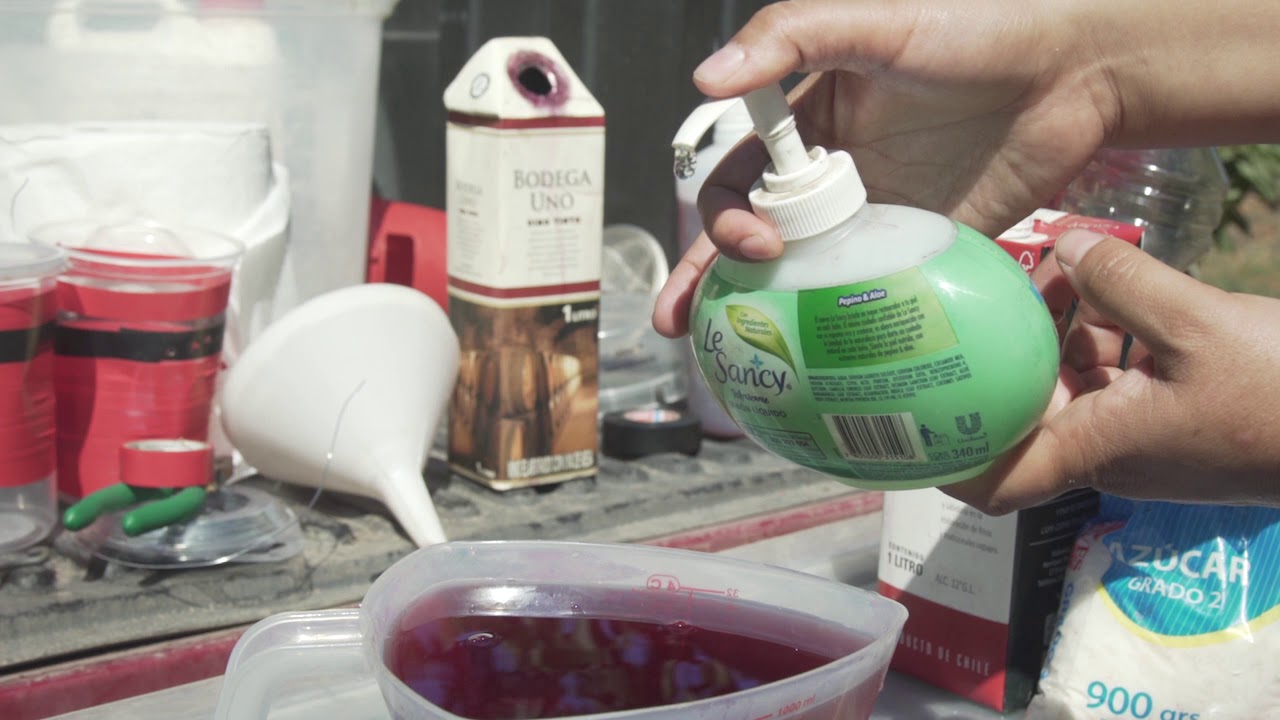 Metodología de Trampeo y monitoreo de Drosophila suzukii