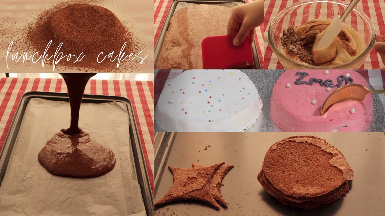 Trying to Make Korean Lunch Box Cakes 🍰 // 인스타 감성 뿜뿜 도시락 케익 만들기 // Failed Attempt?