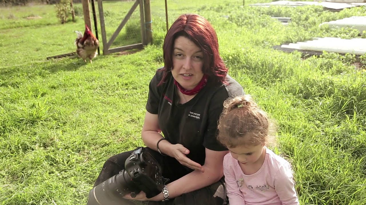Alex Cearns & Greener Pastures Sanctuary - Behind the scenes