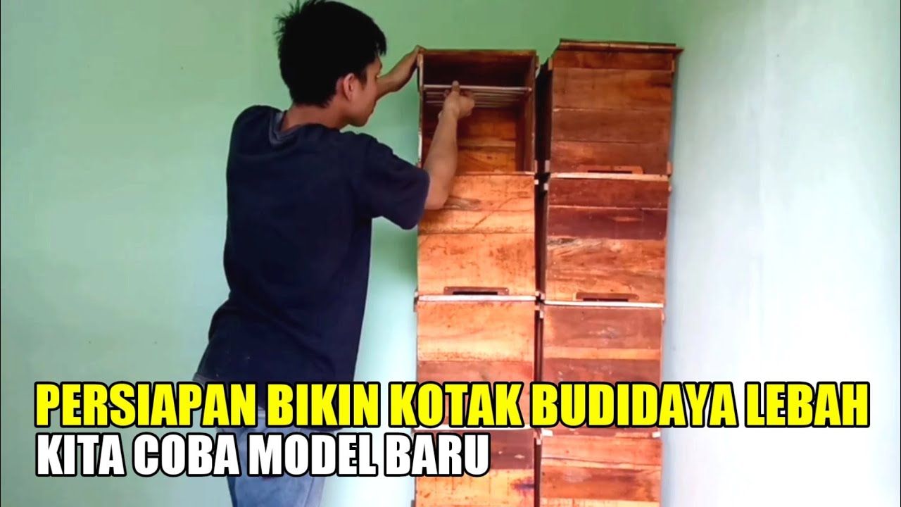 Persiapan membuat kotak lebah yang baru lagi