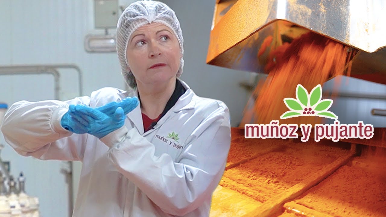 ¿Cómo se hace el PIMENTÓN? Así es su proceso de ELABORACIÓN dentro de la INDUSTRIA ALIMENTARIA 🌶️
