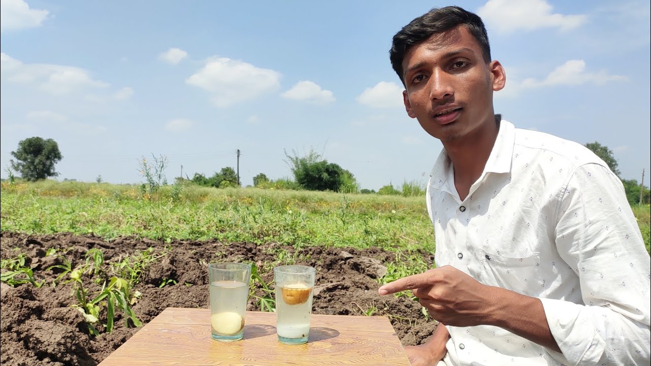 Normal Water And Salt Water Experiment | OM ExperimenT 