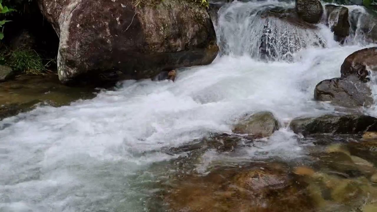 Soothing Stream Sounds for Relaxation • 1 Hour of Peaceful Flowing Water Ambience 4K