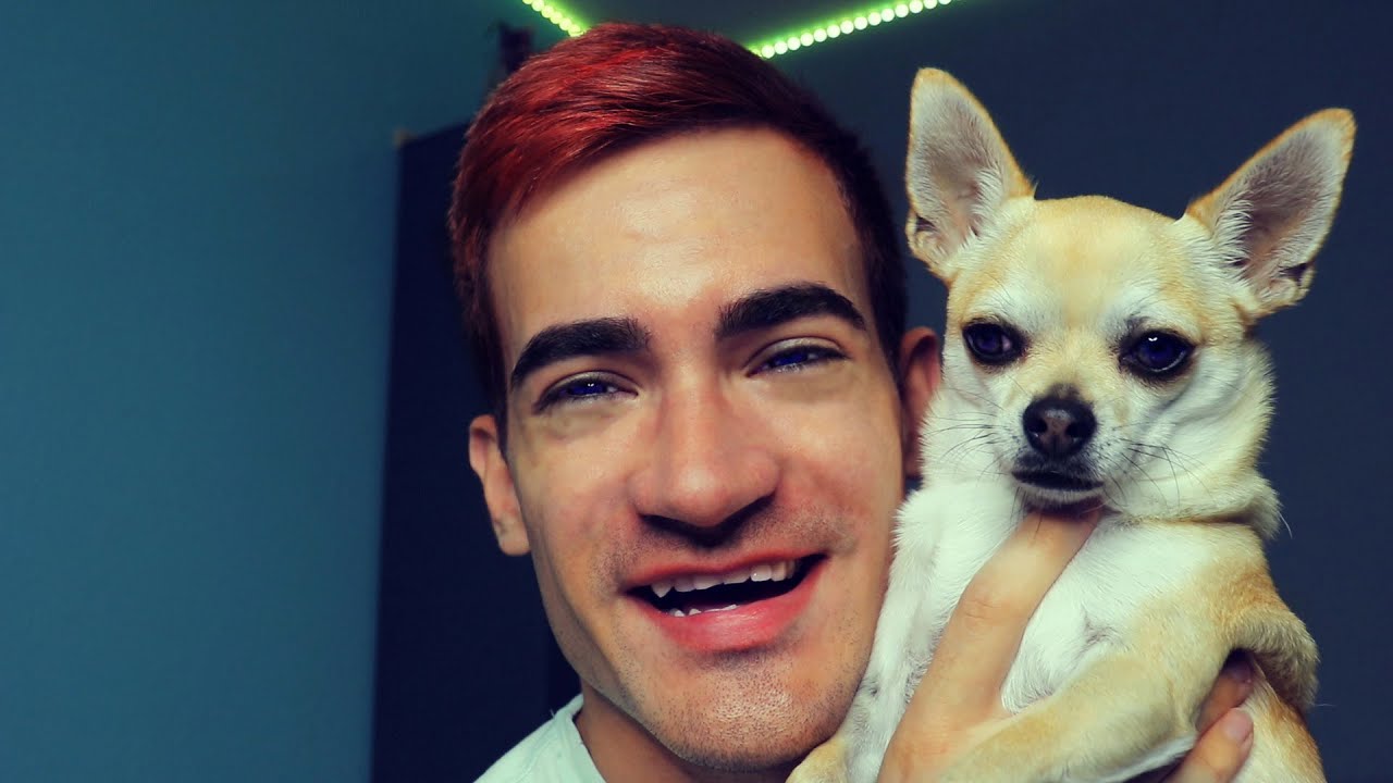 Tips on Being a Dog Owner (ASMR)