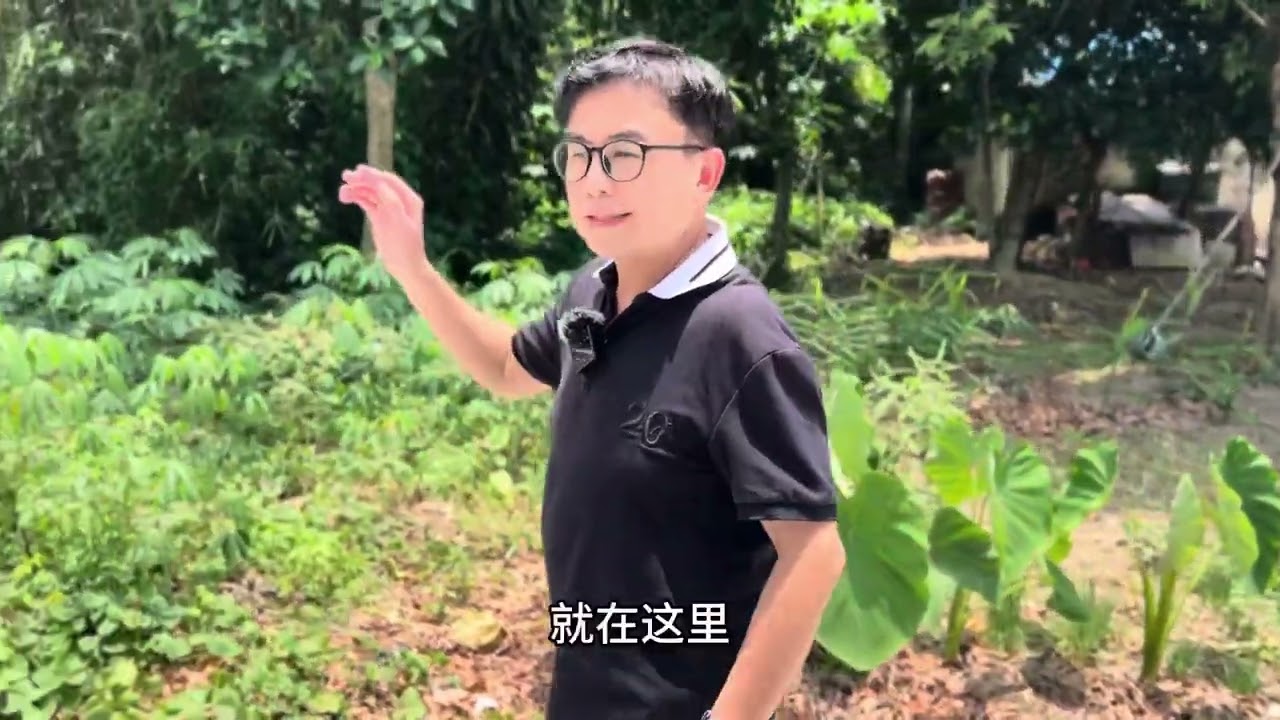 黄一山悼念黄家驹30周年