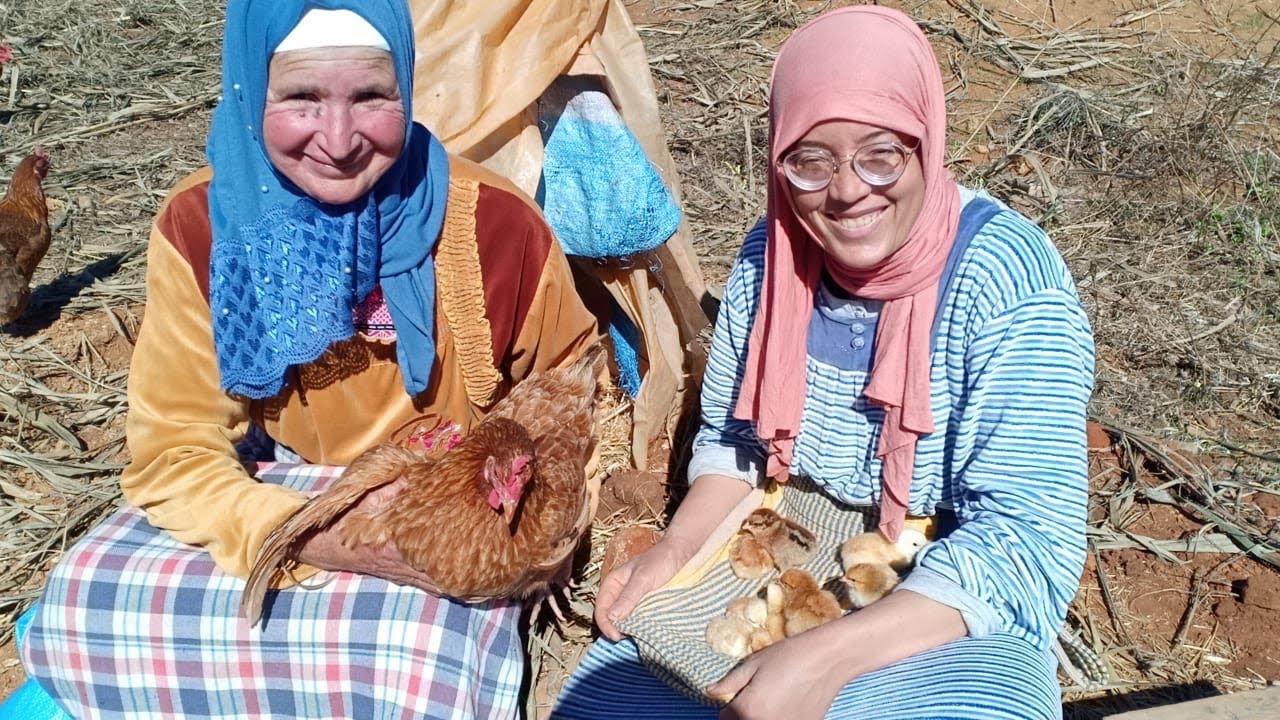 سميرة مشات طلات على الدجاج لقات الدجاجة خرجات الفلالس بلا خبارها اجيو تشوفو الحل ليدارت معاها