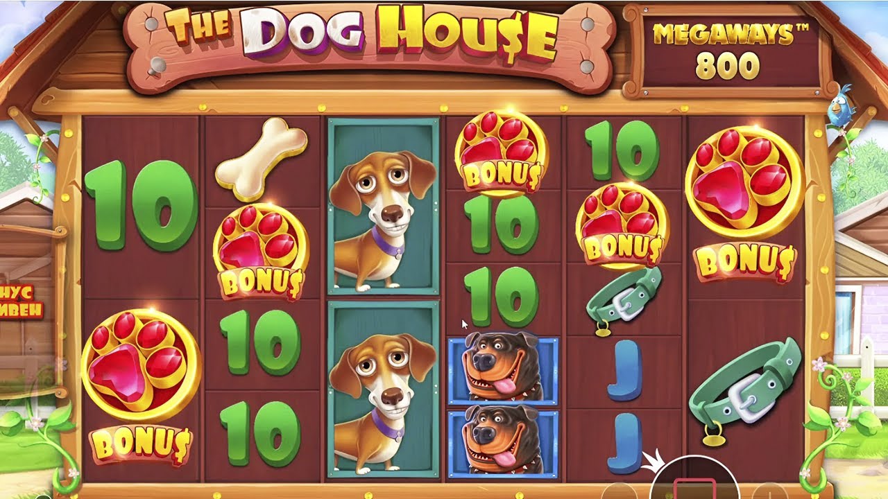 Я ВЫБИЛ 5 ОЧЕНЬ РЕДКИХ СКАТТЕРОВ В DOG HOUSE MEGAWAYS И ПОЙМАЛ РЕКОРДНЫЙ ДЖЕКПОТ!? ШОК!