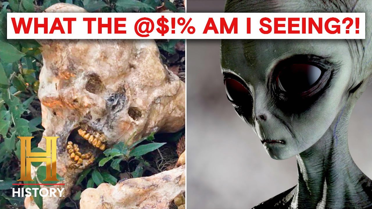 UNBELIEVABLE Eyewitness Alien Encounters | The Proof Is Out There | History