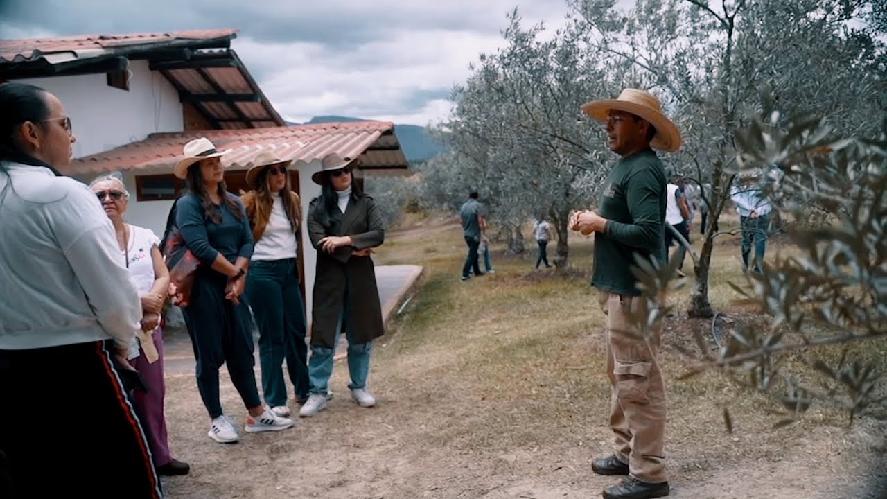 Vacaciones Perfectas en Boyac&aacute;: Sutamarch&aacute;n y sus Olivos