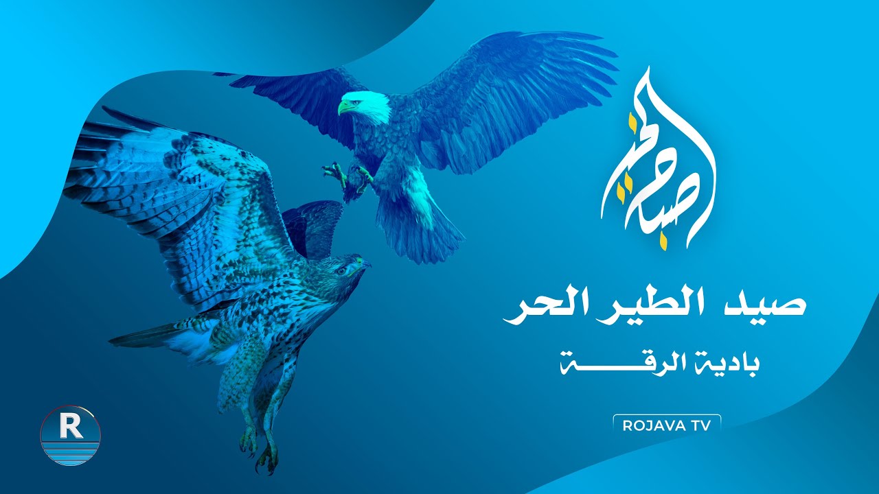 اللي ما يعرف الصقر يشويه.. صيد الطير الحر بريف الرقة