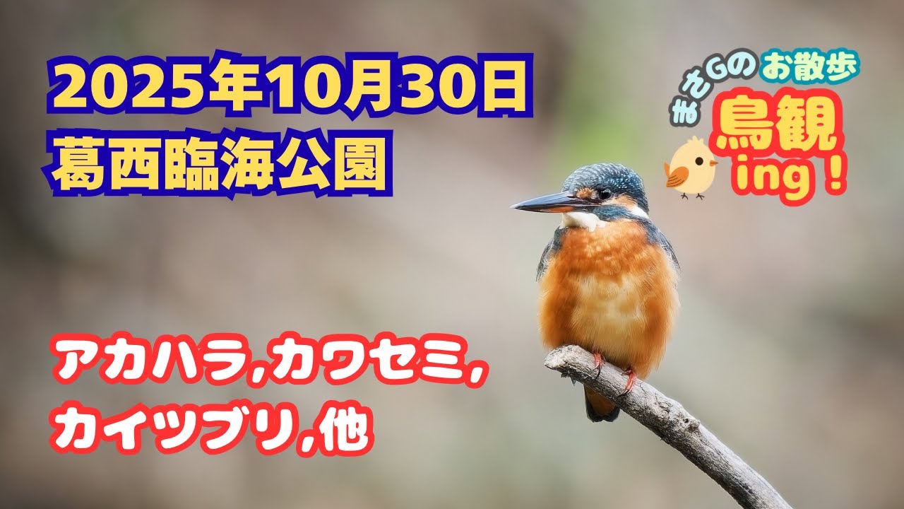 2025年10月30日 葛西臨海公園