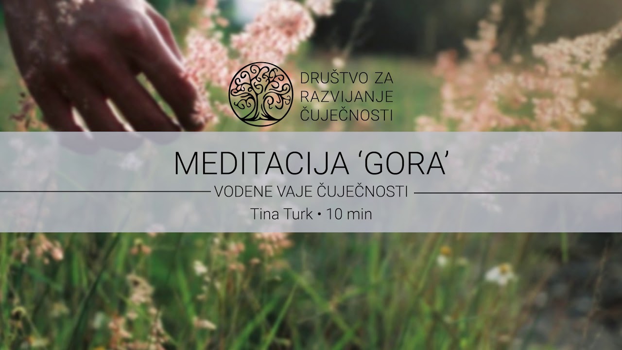 Meditacija 'Gora' - Tina Turk