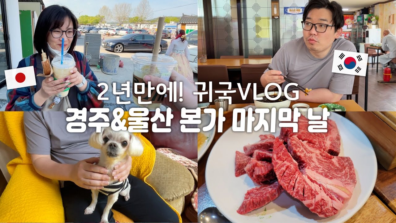 2년만에 귀국VLOG |울산 본가에서 보내는 마지막 날 |경주여행 |맛집 탐방