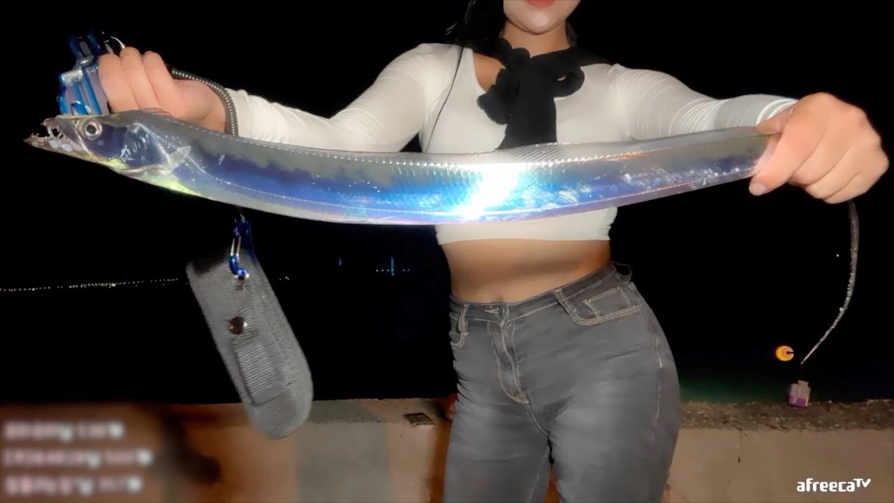 #여수 도보권 풀치 사이즈 훌륭합니다!!  초보자에게 추천하는 간단채비 #루어낚시