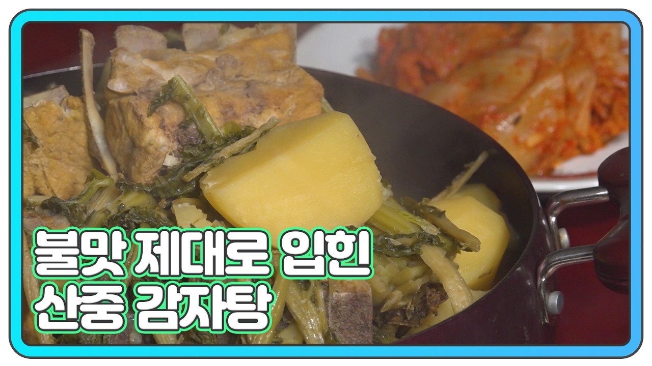 아궁이 불에 끓이는 헛개나무 감자탕 MBN 260218 방송
