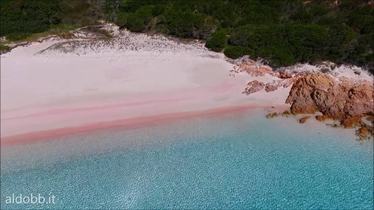 spiaggia rosa, pink beach - budelli, arcipelago di la maddalena, sardinia, Italy