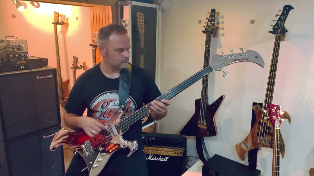 Warwick Buzzard 8 string fretless - song: Metallica - Nothing else matters