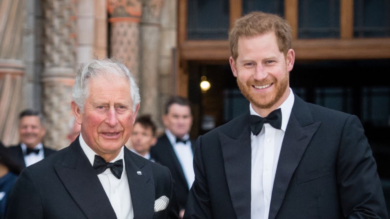 'All just for show': Prince Harry meets with King Charles following cancer diagnosis