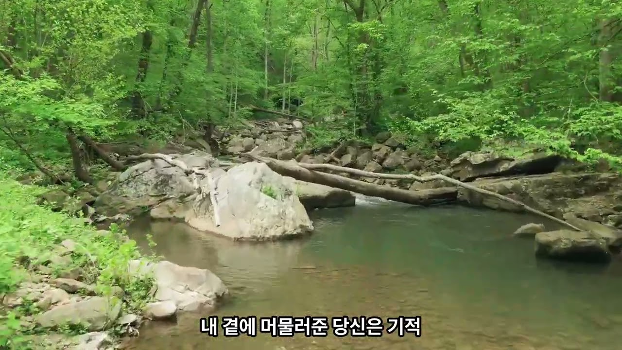 하늘의 약속