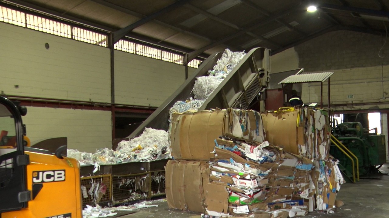 Keeping It Green - The Paper Recycling Journey