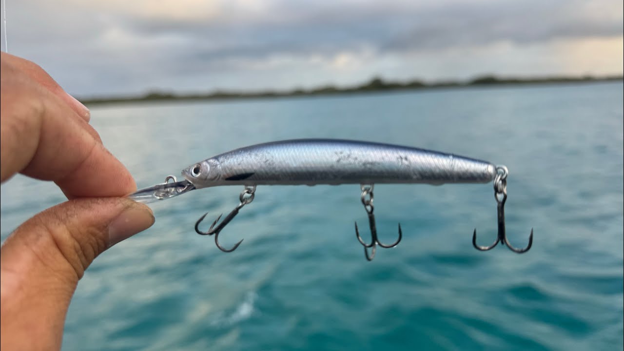 Tailor Craze Daiwa Double Clutch 95
