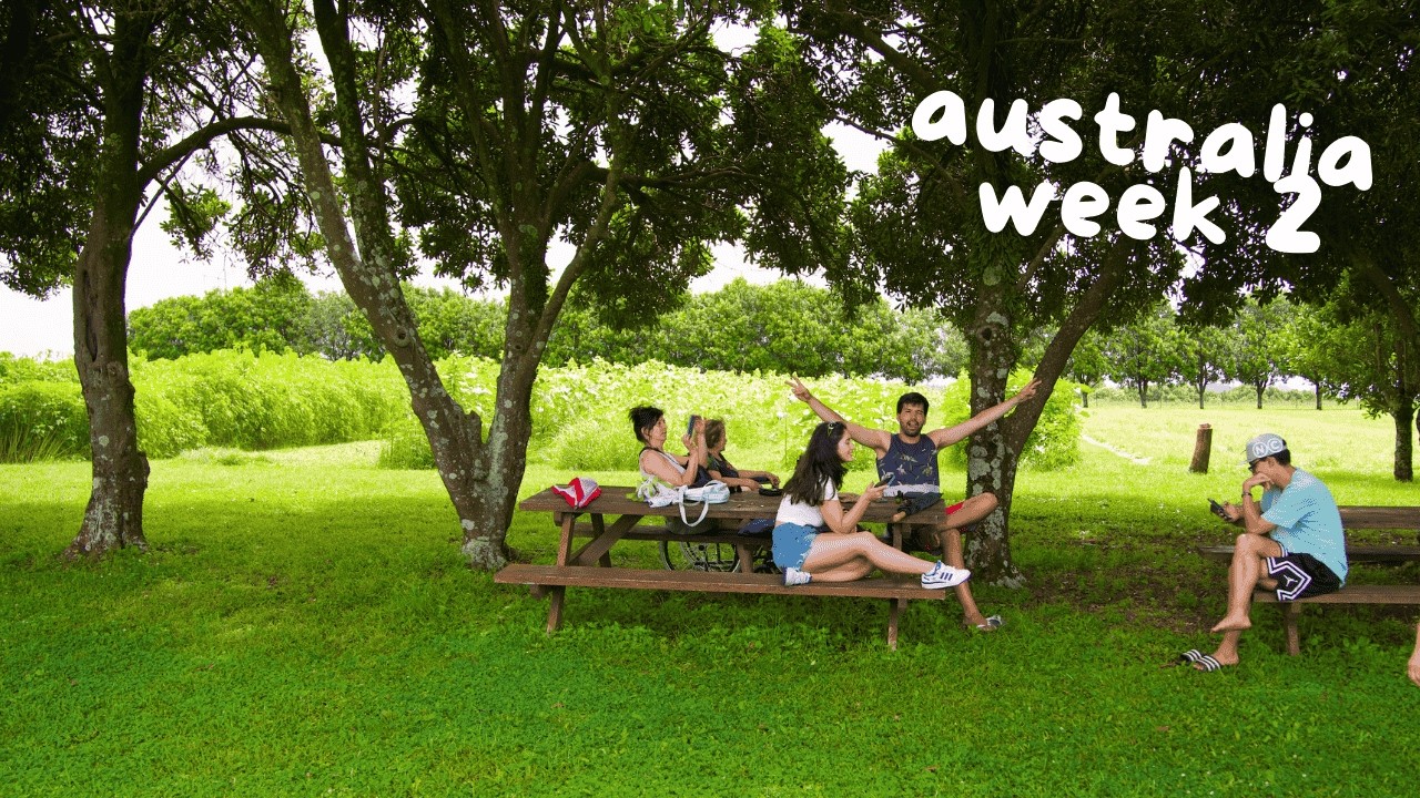 segunda semana na australia - fazenda de girassóis, skate, carnaval, e mt mais | giulia paié