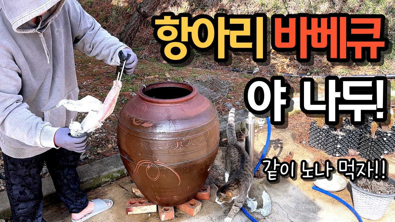 항아리 바베큐 도전기