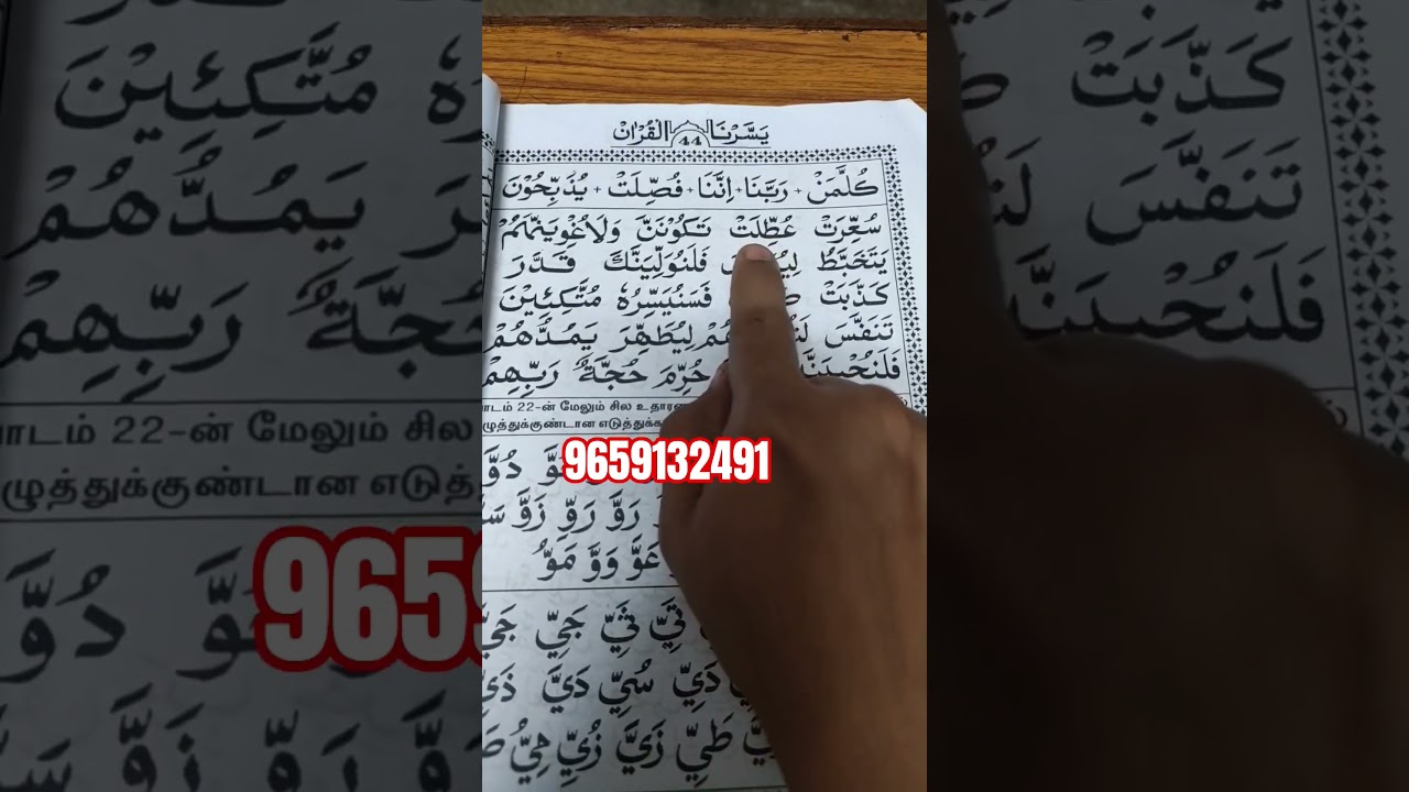 Learn Quran With Tajweed | For Beginners | 