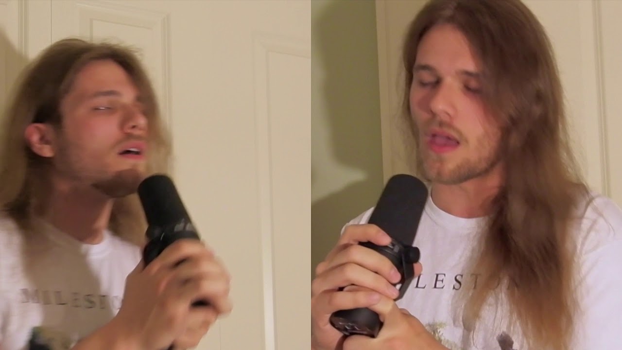 Lee Mintz - Sisyphus - Drewsif Stalin Vocal Cover