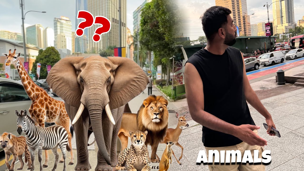 Aj Zoo Nai Ja Sky 😟
