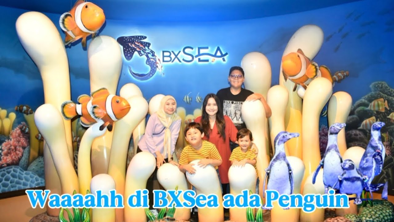 Melihat Hewan laut di Bxsea 🐋🐟🦈🦞🐟🪼 #minivlog #hewanlaut #bxsea #anakbelajar #bermainsambilbelajar 