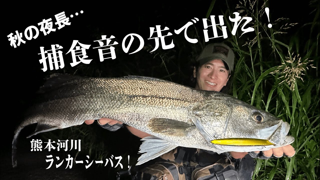 【シーバス】秋の夜長にベイトパターンを攻略