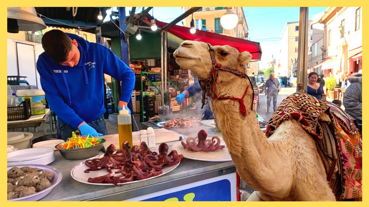 🌍🚗Ballar&ograve; - Il mercato pi&ugrave; antico di Palermo 🚗🌍