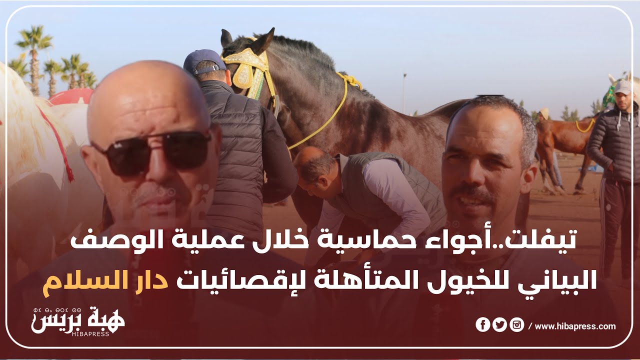 تيفلت..أجواء حماسية خلال عملية الوصف البياني للخيول المتأهلة لإقصائيات دار السلام