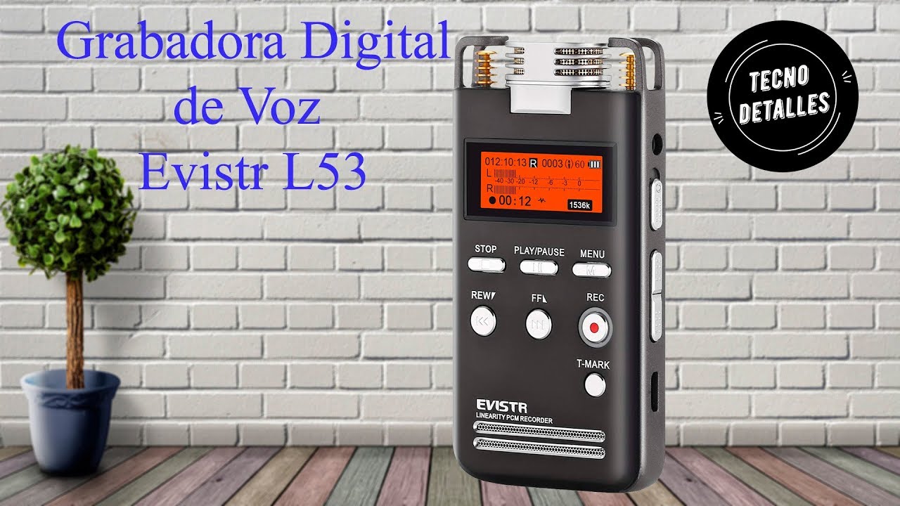 Grabadora Digital de Voz Evistr L53