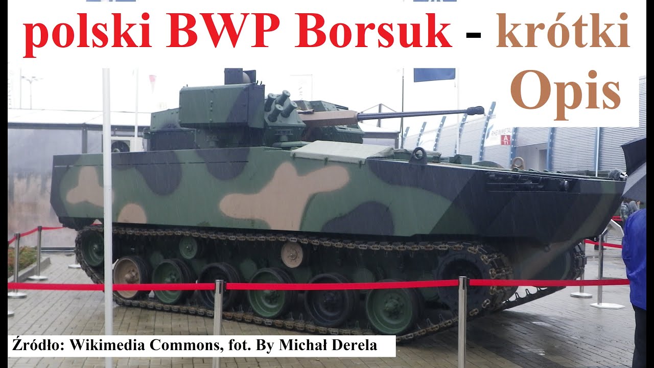 polski BWP Borsuk - kr&oacute;tki opis