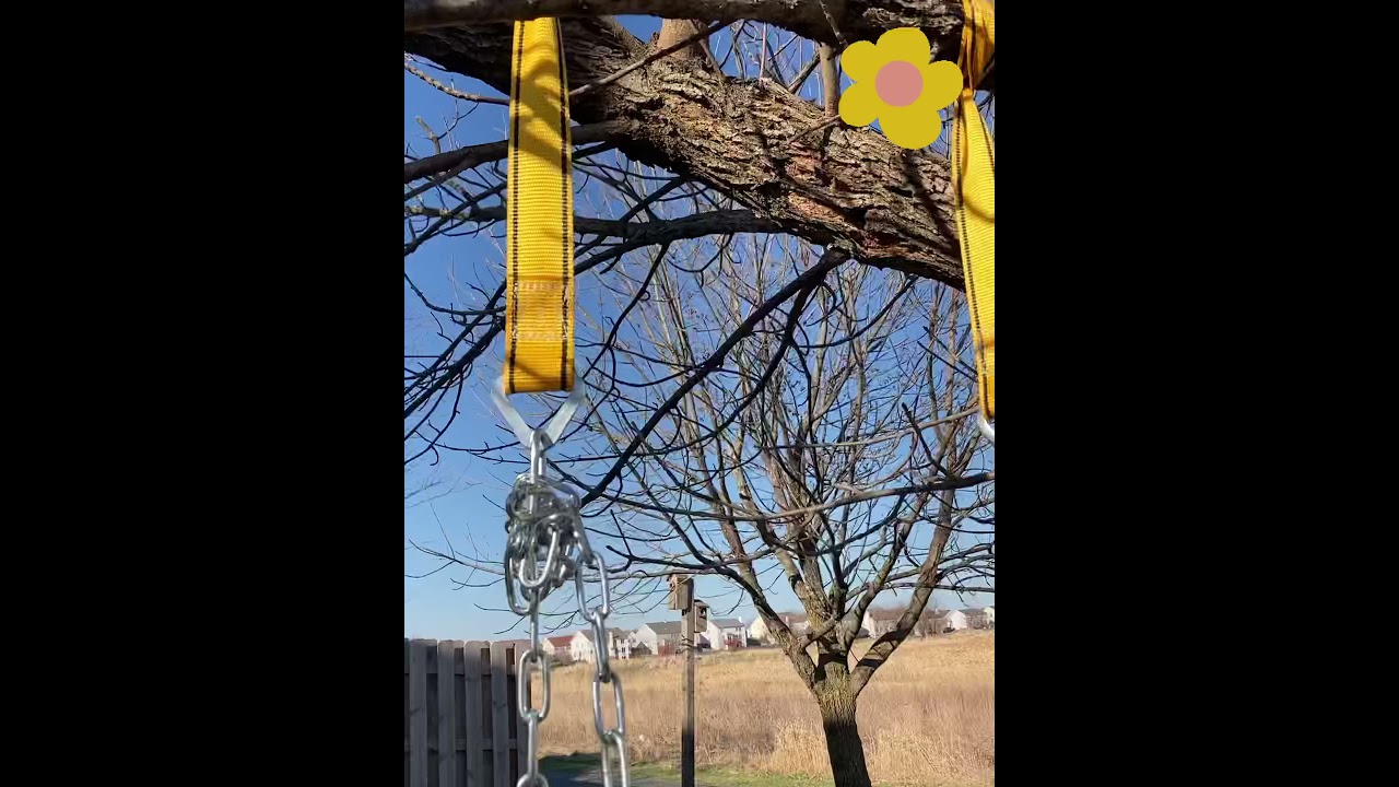 PaceEarth Swing from Amazon-great buy 👌