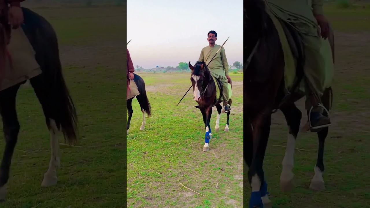 Rider Syed Israr Hussain Shah Bukhari Qutbia Abrar Club Nezabazi❤️💯