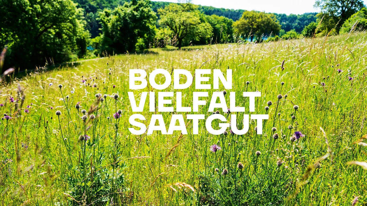 «Boden, Vielfalt, Saatgut» beim Gut Rheinau