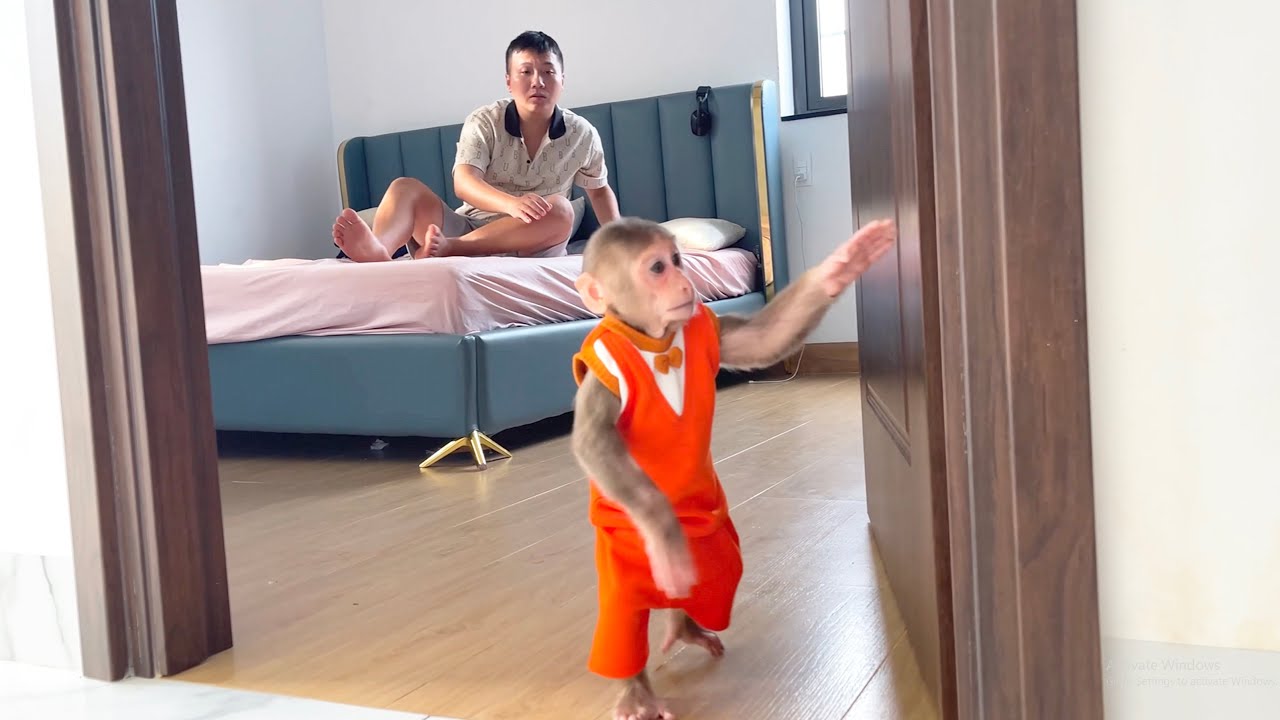 Too Funny! CUBIS’ Surprise Plan to Wake Up Dad
